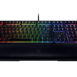 Big_RZ03-03380100-R3M1-header343433 Razer RZ03-03380100-R3M1 Ornata V2 Chroma